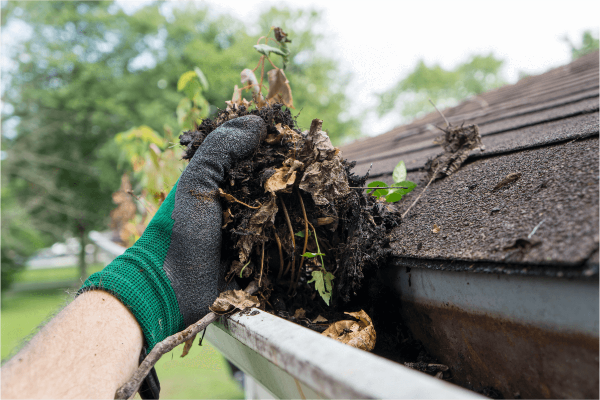 Our maintenance team clearing a gutter